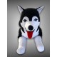 Sevimli Köpek Husky Karakter Figür Peluş Oyuncak 75 cm Oyun ve Uyku Arkadaşı